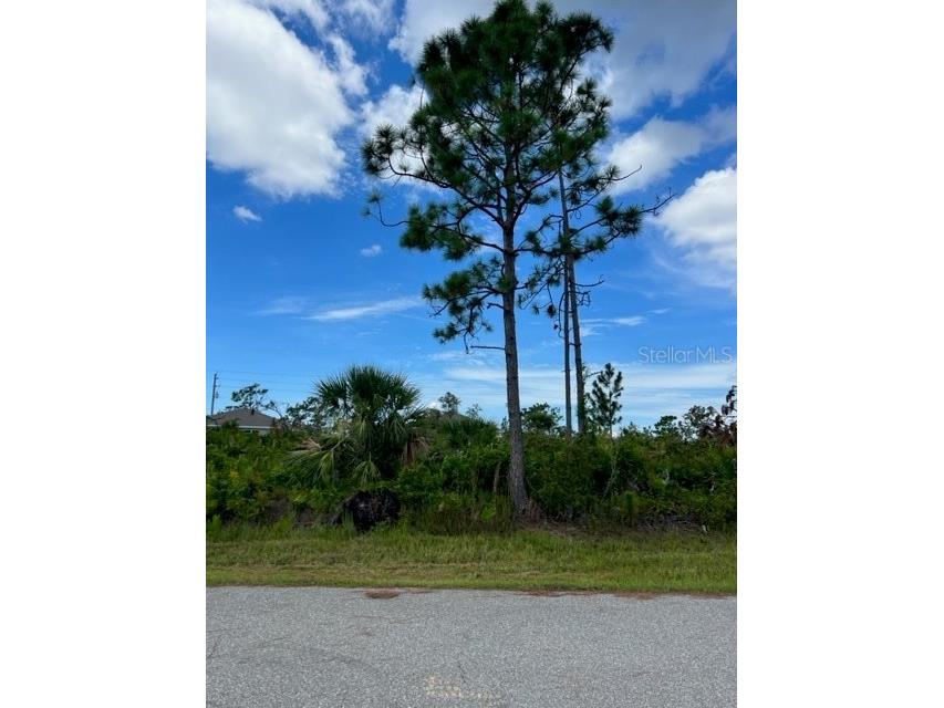 4343 Callaway Street Port Charlotte FL 33981 C7478771 image1