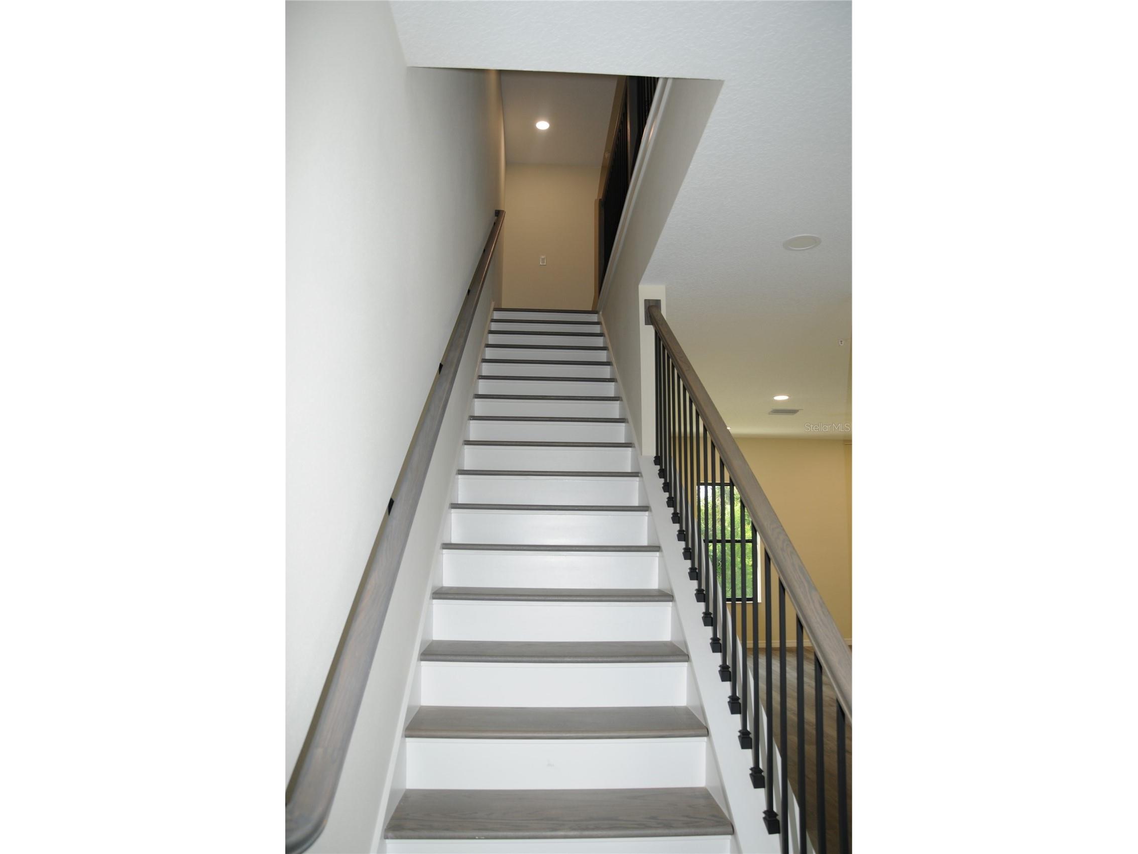 4343 Cambio Gardens Court Tampa FL 33610 TB8518882 image13