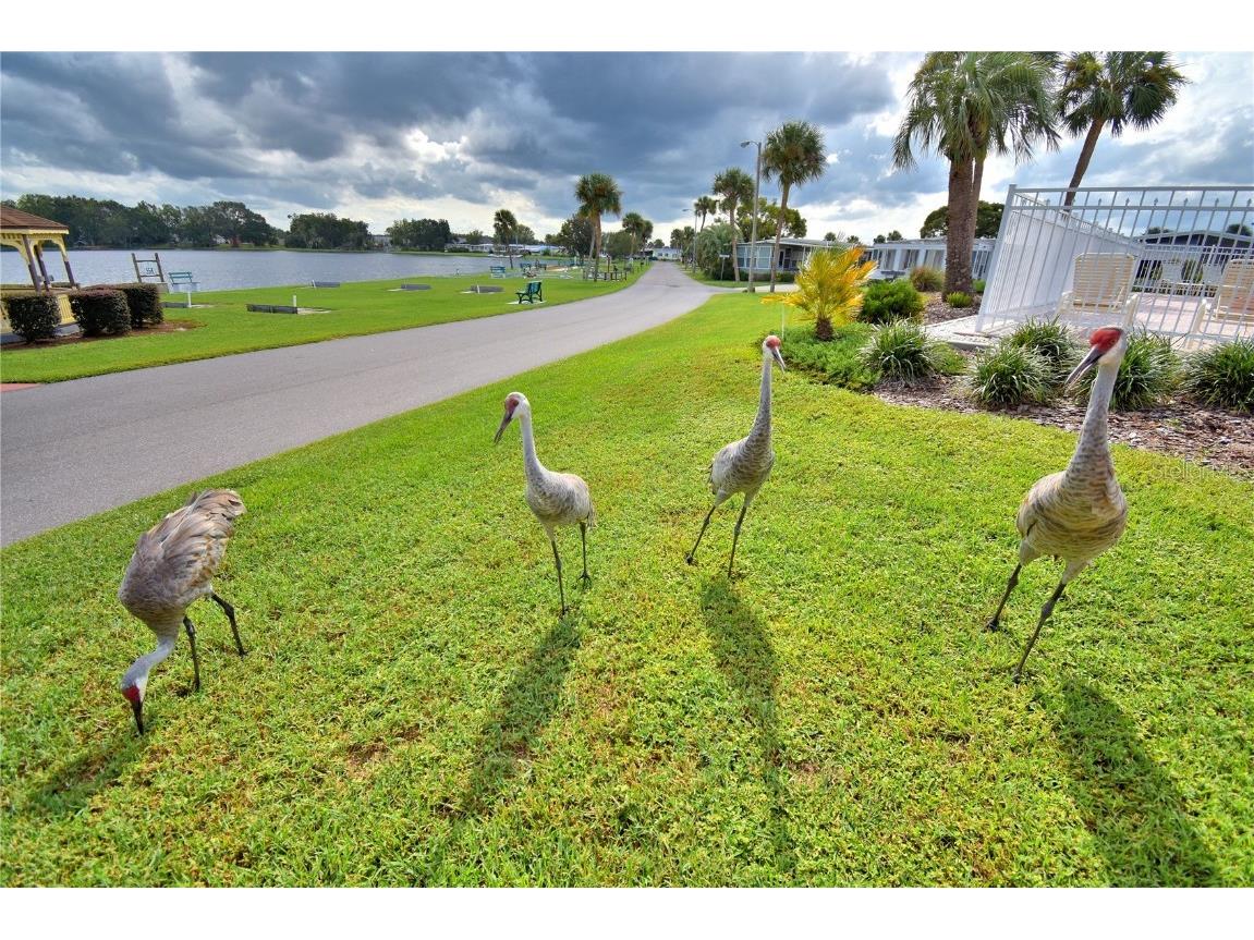 4343 Cherrywood Street Winter Haven FL 33880 P4933061 image40