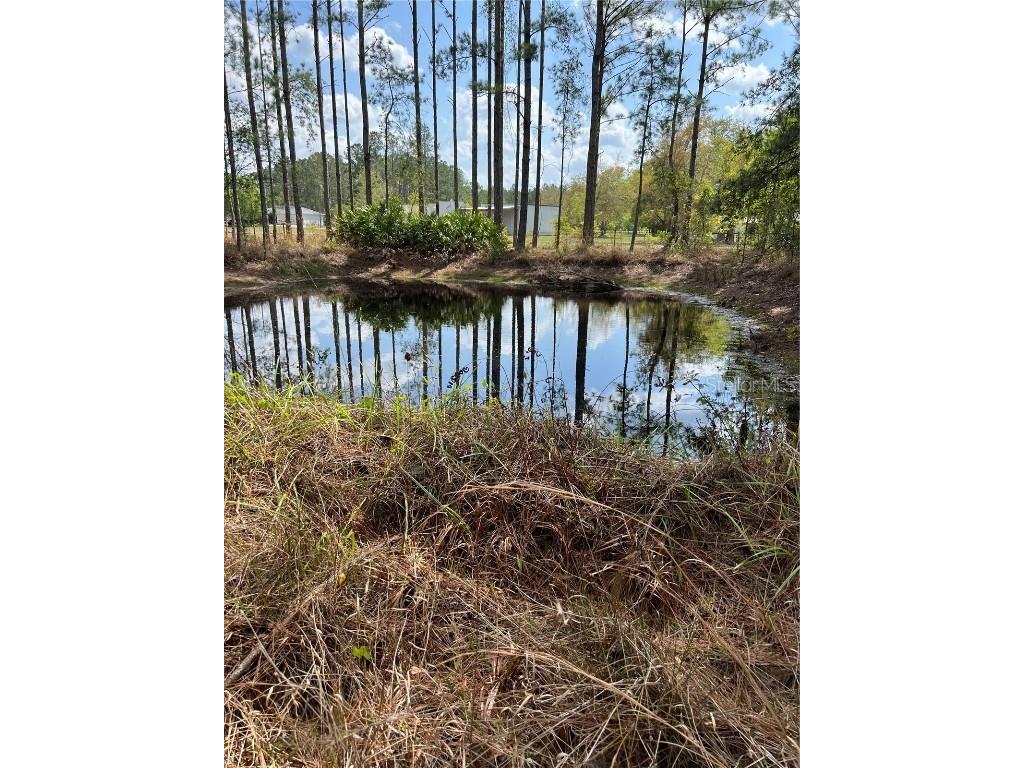 4343 W State Highway 100 Bunnell FL 32110 FC309279 image3