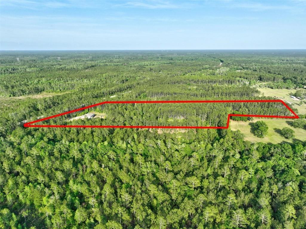 4343 W State Highway 100 Bunnell FL 32110 FC309279 image62