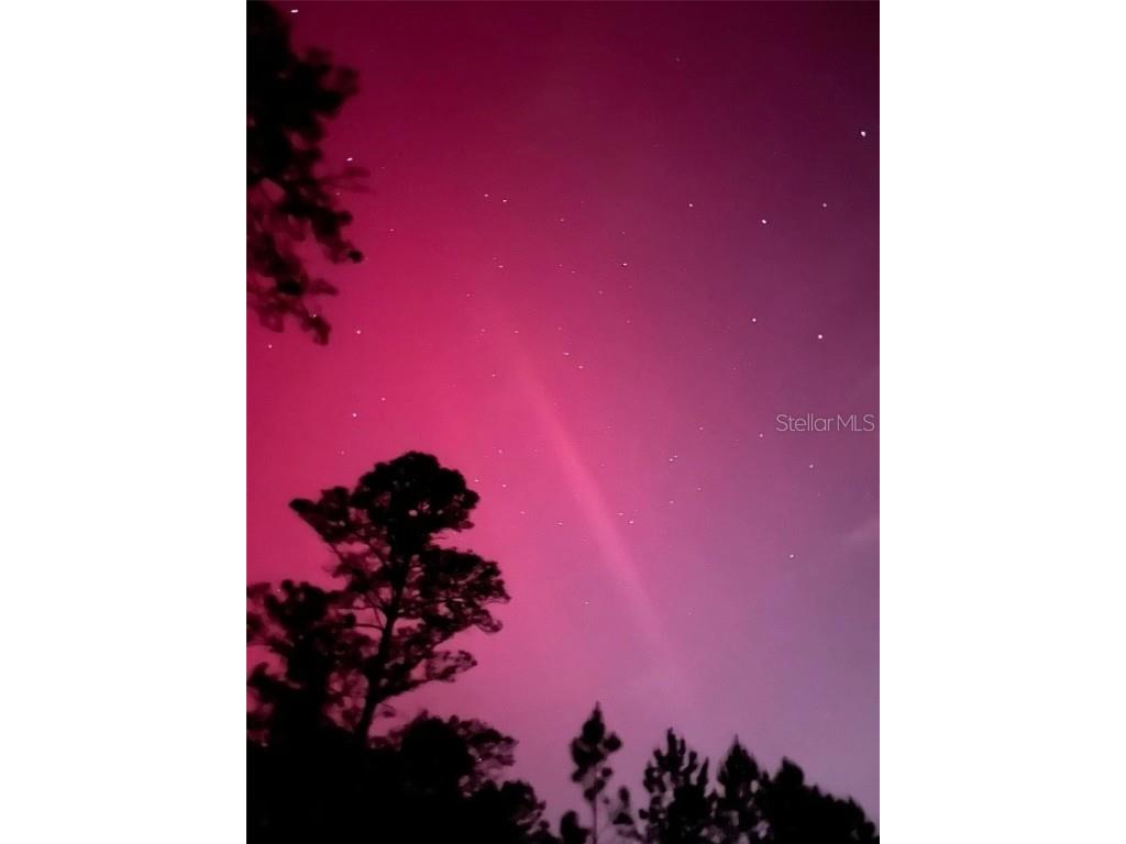 4343 W State Highway 100 Bunnell FL 32110 FC309279 image95