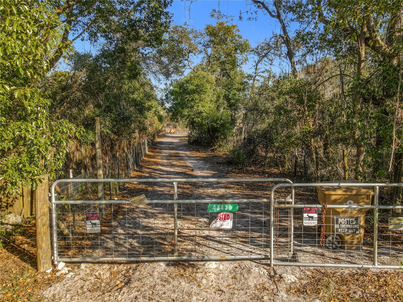 43430 Cooter Pond Road Deland FL 32720 N6142611 image21