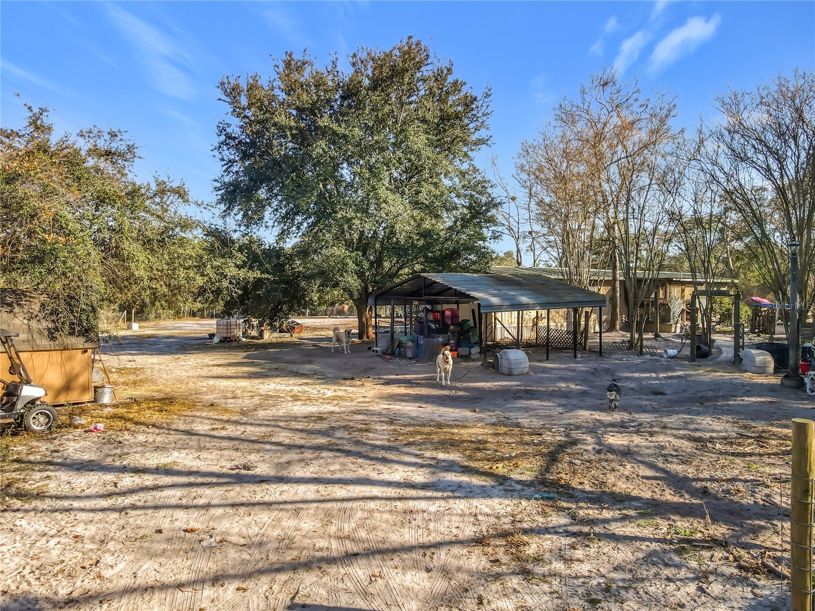 43430 Cooter Pond Road Deland FL 32720 N6142611 image25