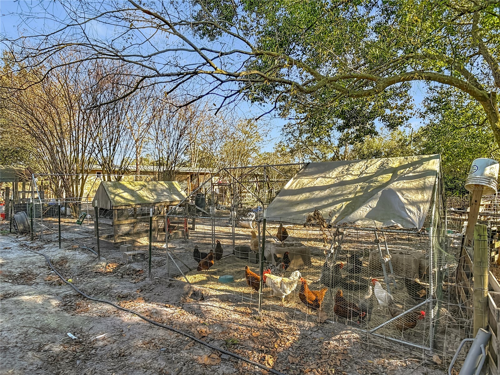 43430 Cooter Pond Road Deland FL 32720 N6142611 image26