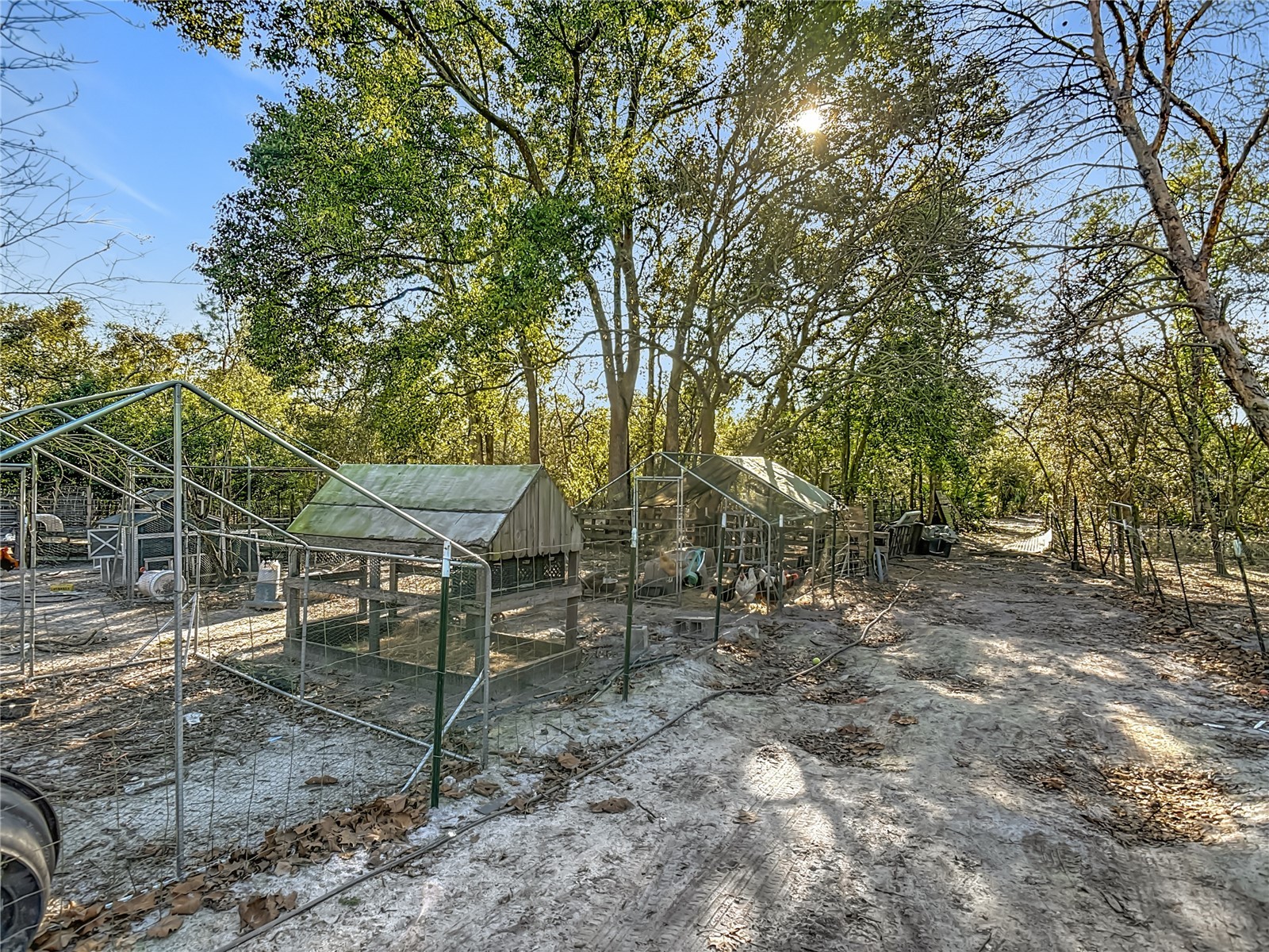 43430 Cooter Pond Road Deland FL 32720 N6142611 image27