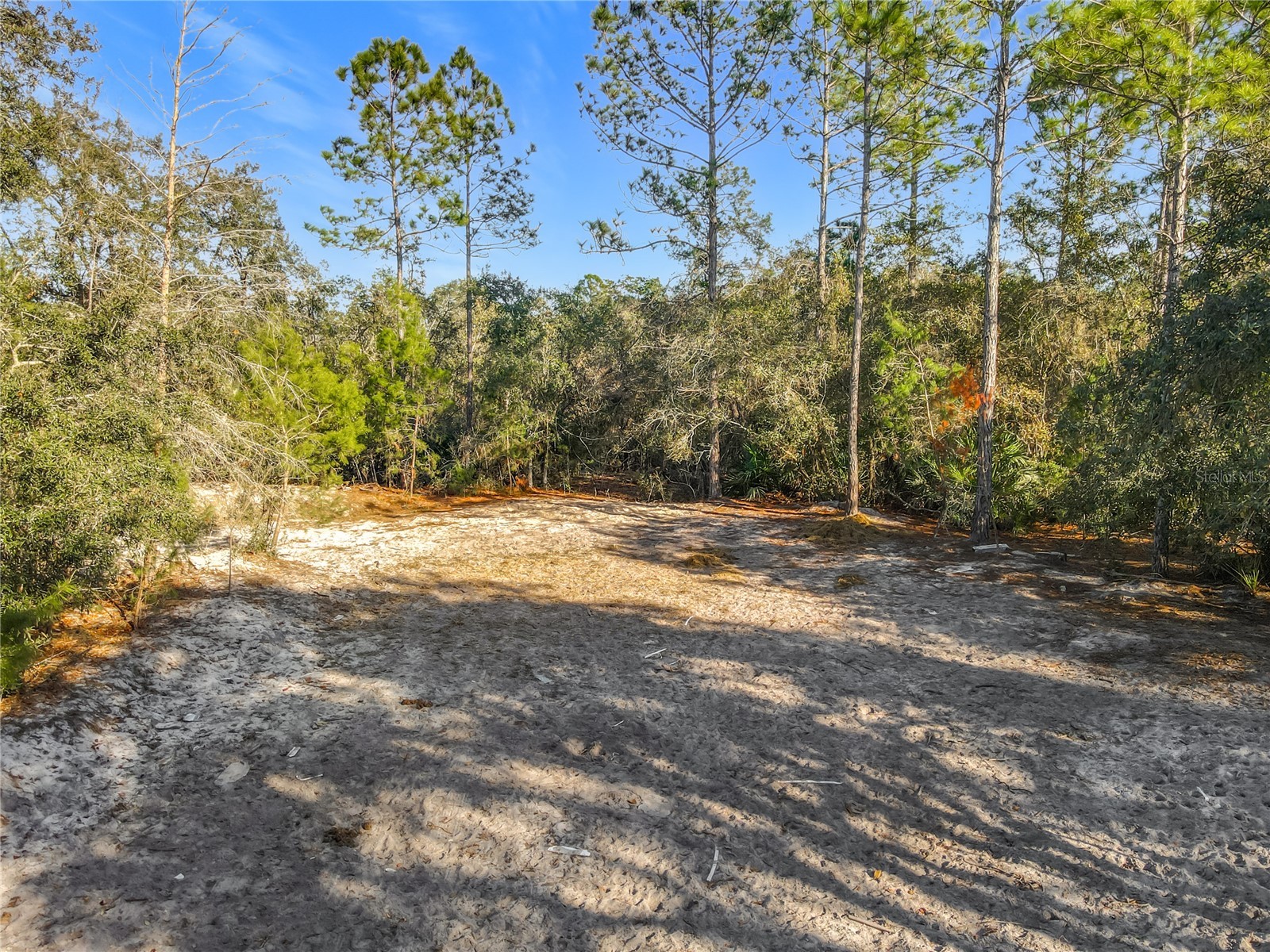 43430 Cooter Pond Road Deland FL 32720 N6142611 image31