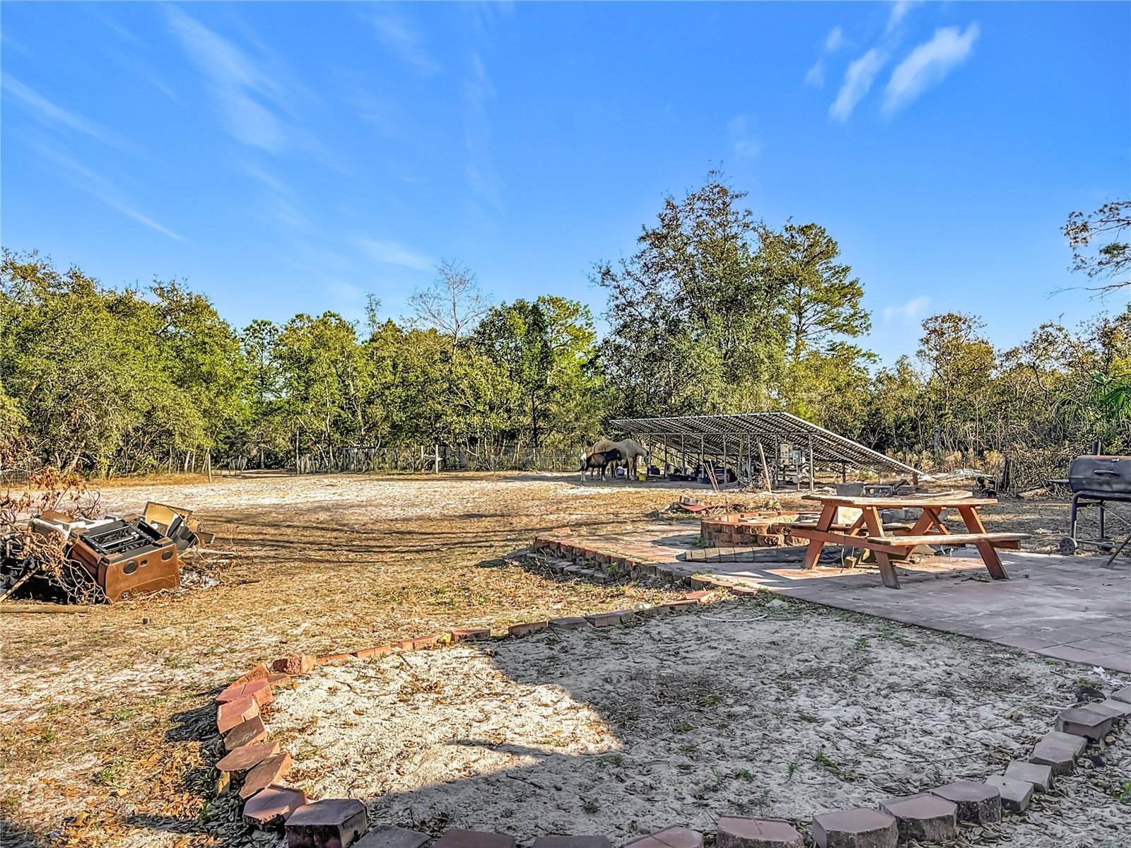 43430 Cooter Pond Road Deland FL 32720 N6142611 image32