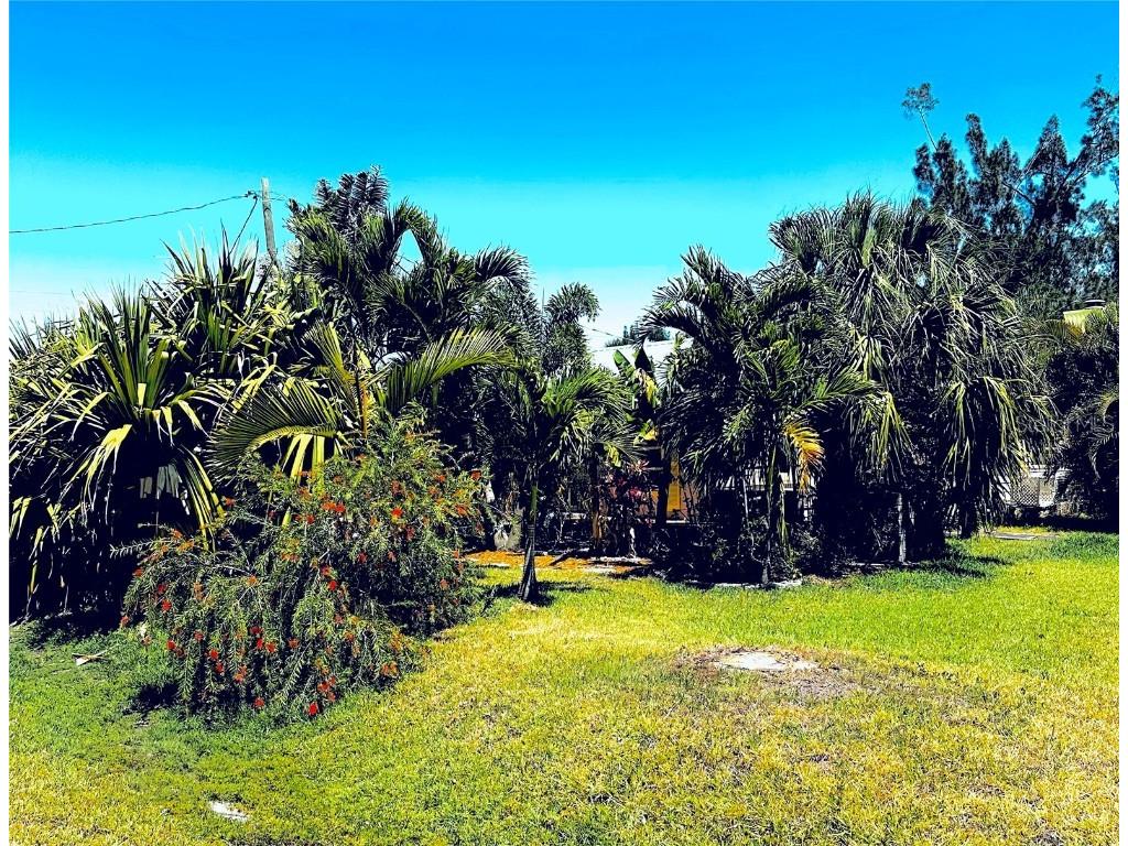 4344 Commercial Street Port Charlotte FL 33953 C7509082 image1