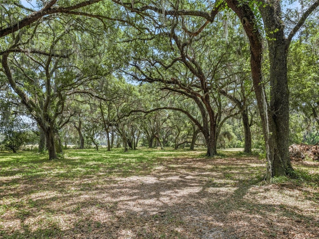 4344 Cr 542h Bushnell FL 33513 OM679768 image47