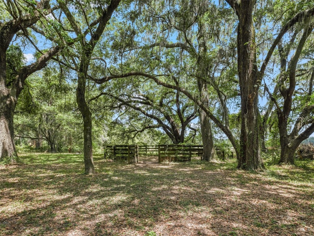 4344 Cr 542h Bushnell FL 33513 OM679768 image48