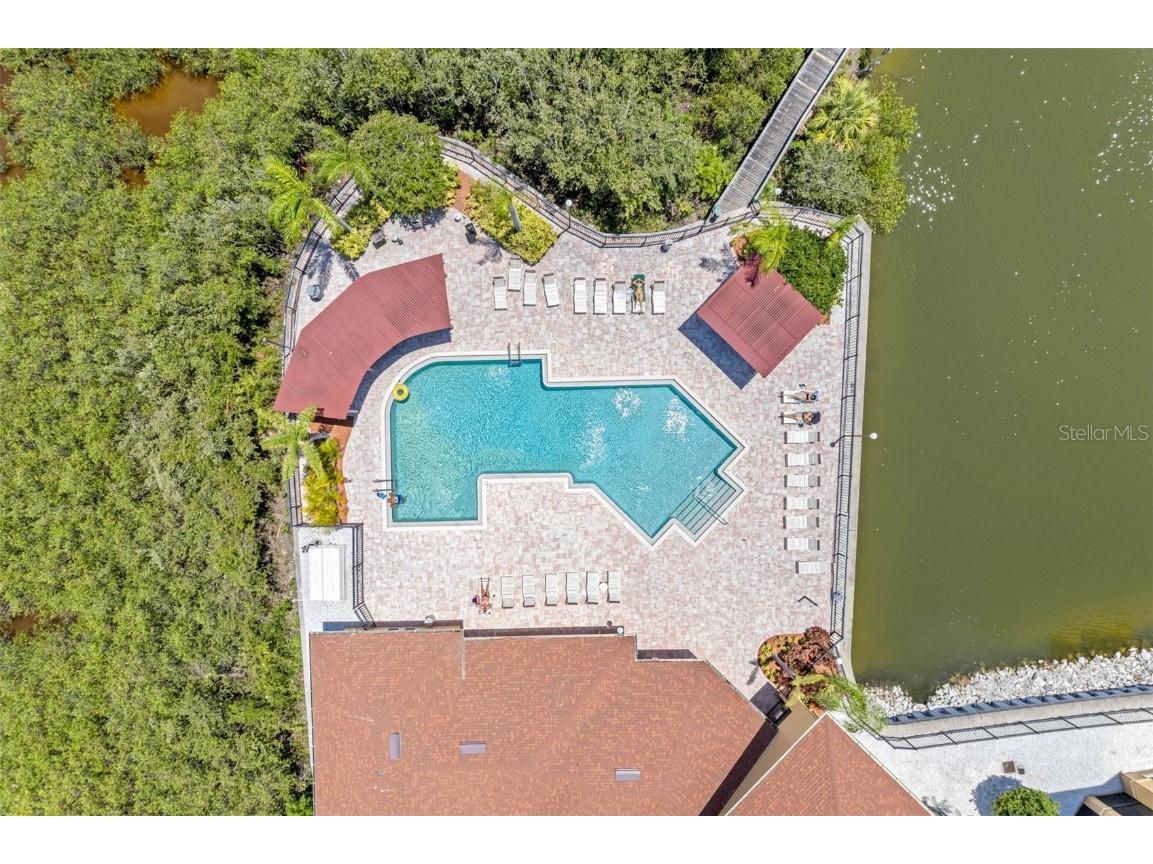 4345 Bayside Village Drive #302 Tampa FL 33615 TB8454581 image40