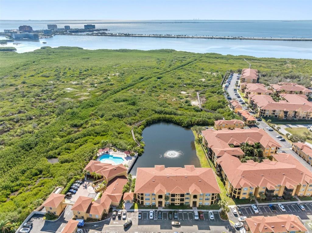 4345 Bayside Village Drive #302 Tampa FL 33615 TB8454581 image5