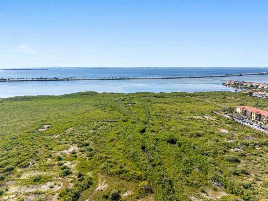 4345 Bayside Village Drive #302 Tampa FL 33615 TB8454581 image7