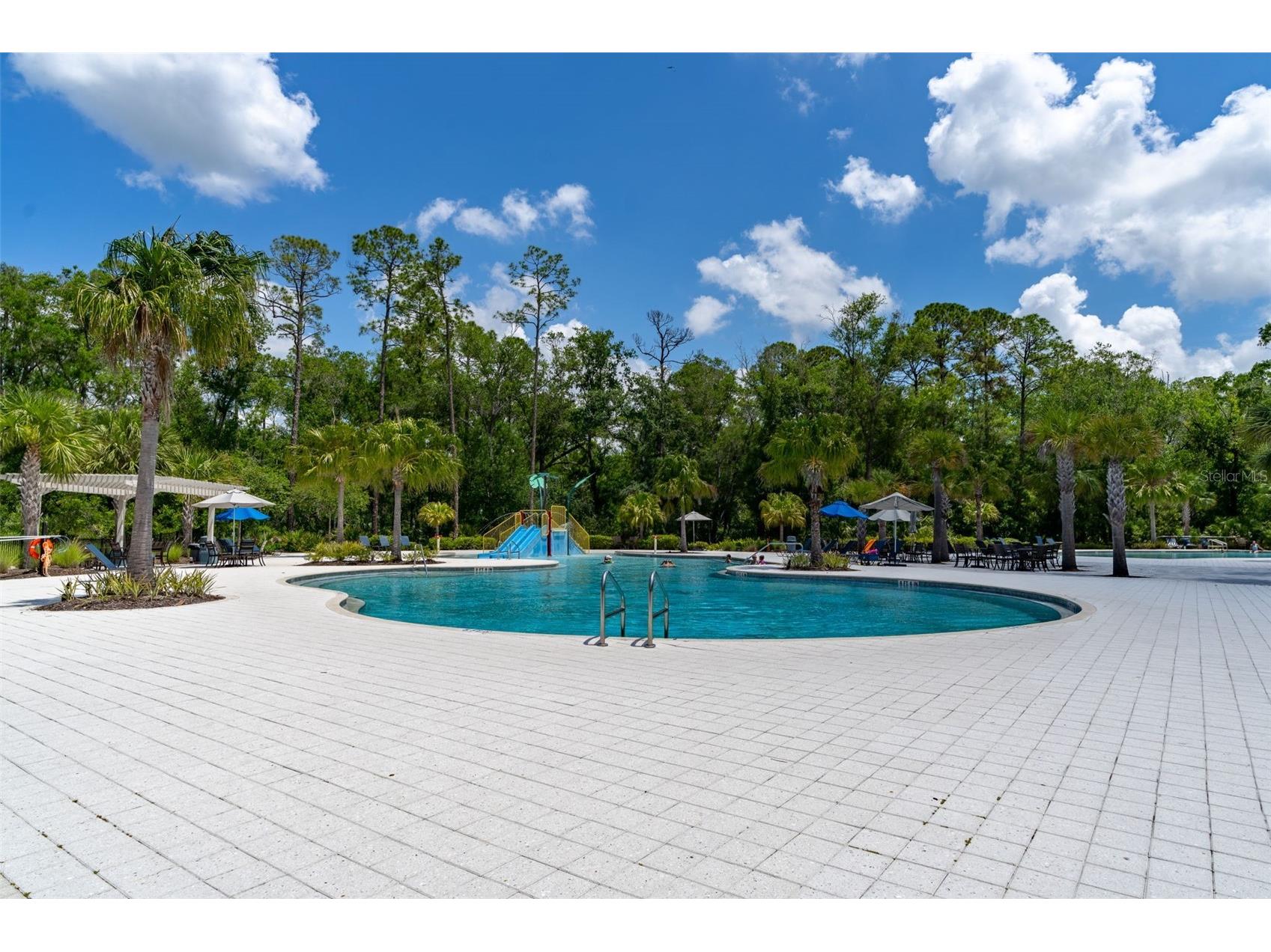 4345 Cadence Loop Land O Lakes FL 34638 TB8490799 image41