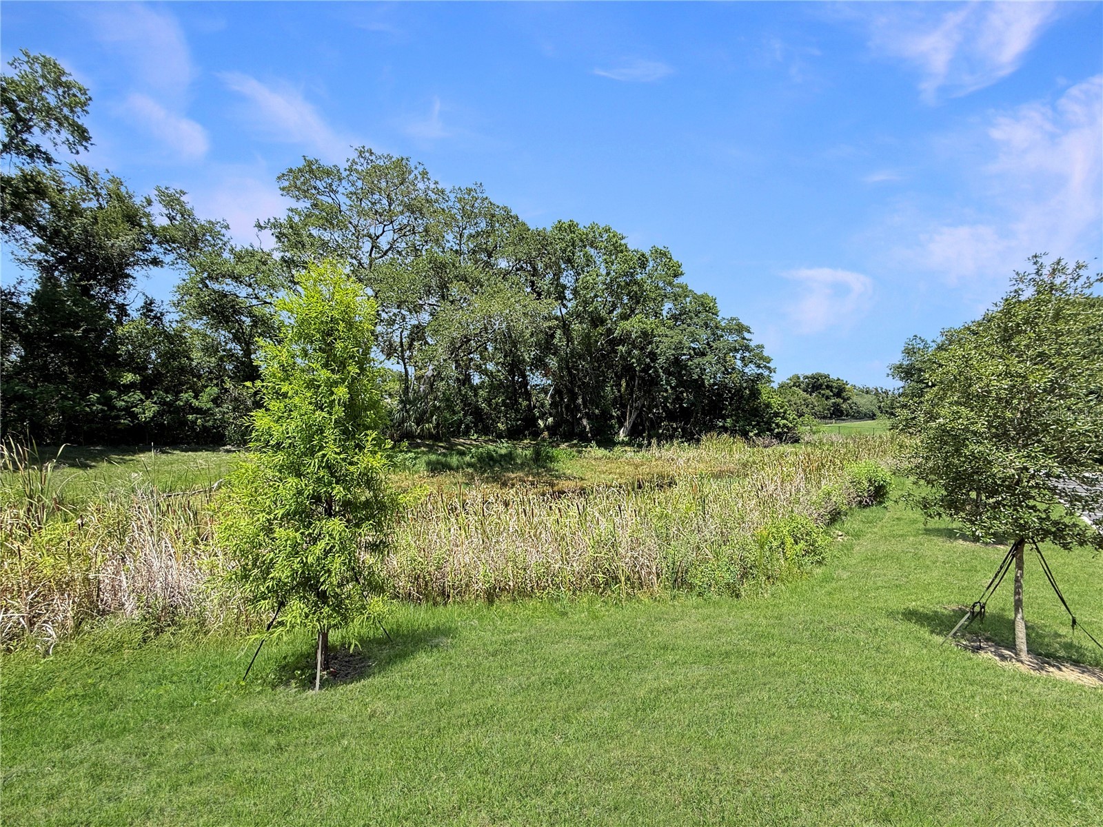 4345 Cambio Gardens Court Tampa FL 33610 TB8517585 image32