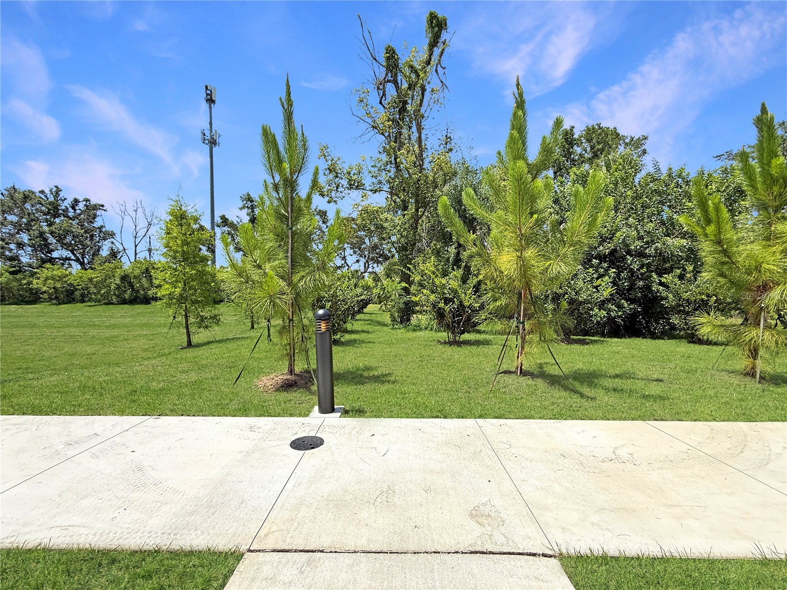 4345 Cambio Gardens Court Tampa FL 33610 TB8517585 image33