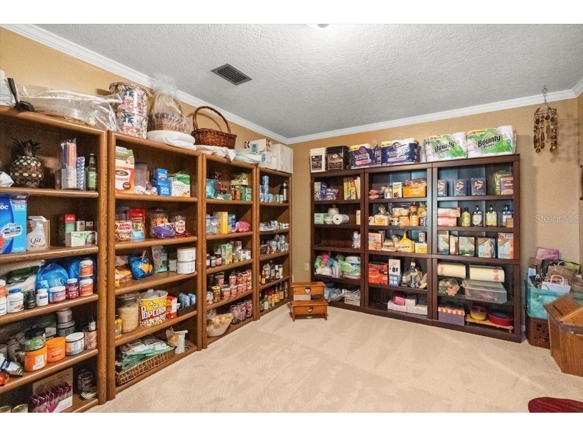 4345 Corley Island Road Leesburg FL 34748 - LAKE HARRIS G5104166 image21