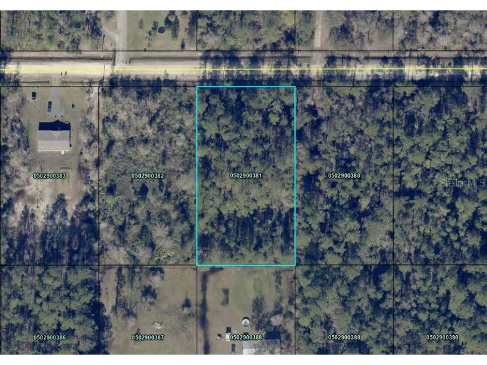 4345 Gladys Street Hastings FL 32145 FC306433 image1