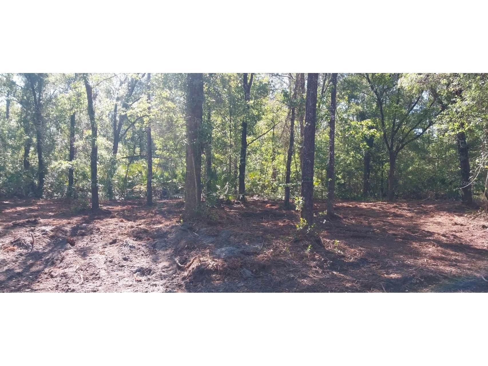 4345 Isaac Street Hastings FL 32145 S5104357 image1