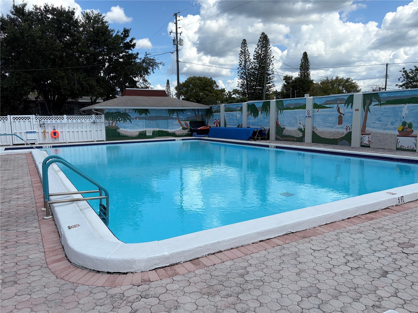 4345 Tahitian Gardens Circle #C Holiday FL 34691 TB8505020 image29