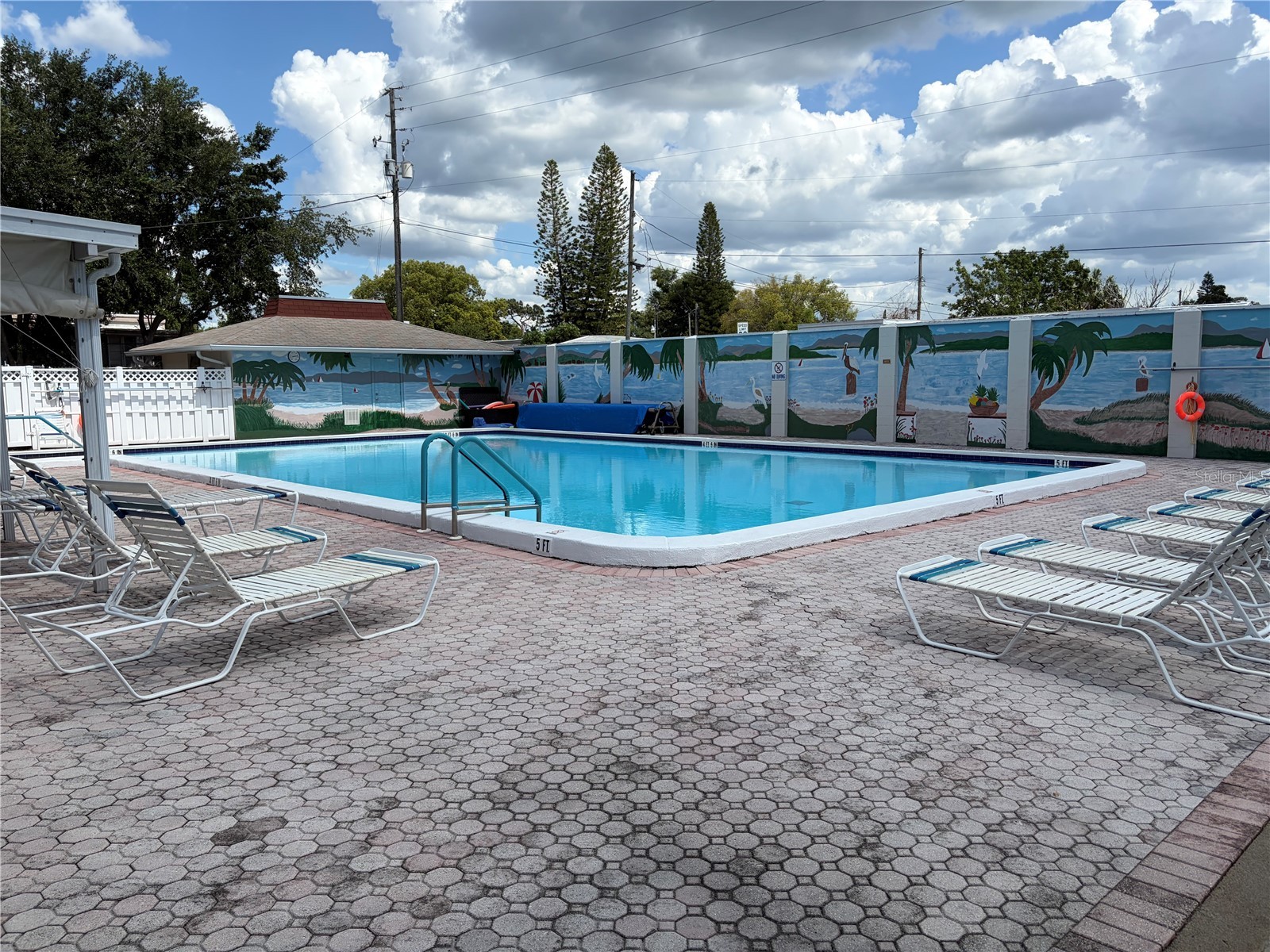 4345 Tahitian Gardens Circle #C Holiday FL 34691 TB8505020 image31