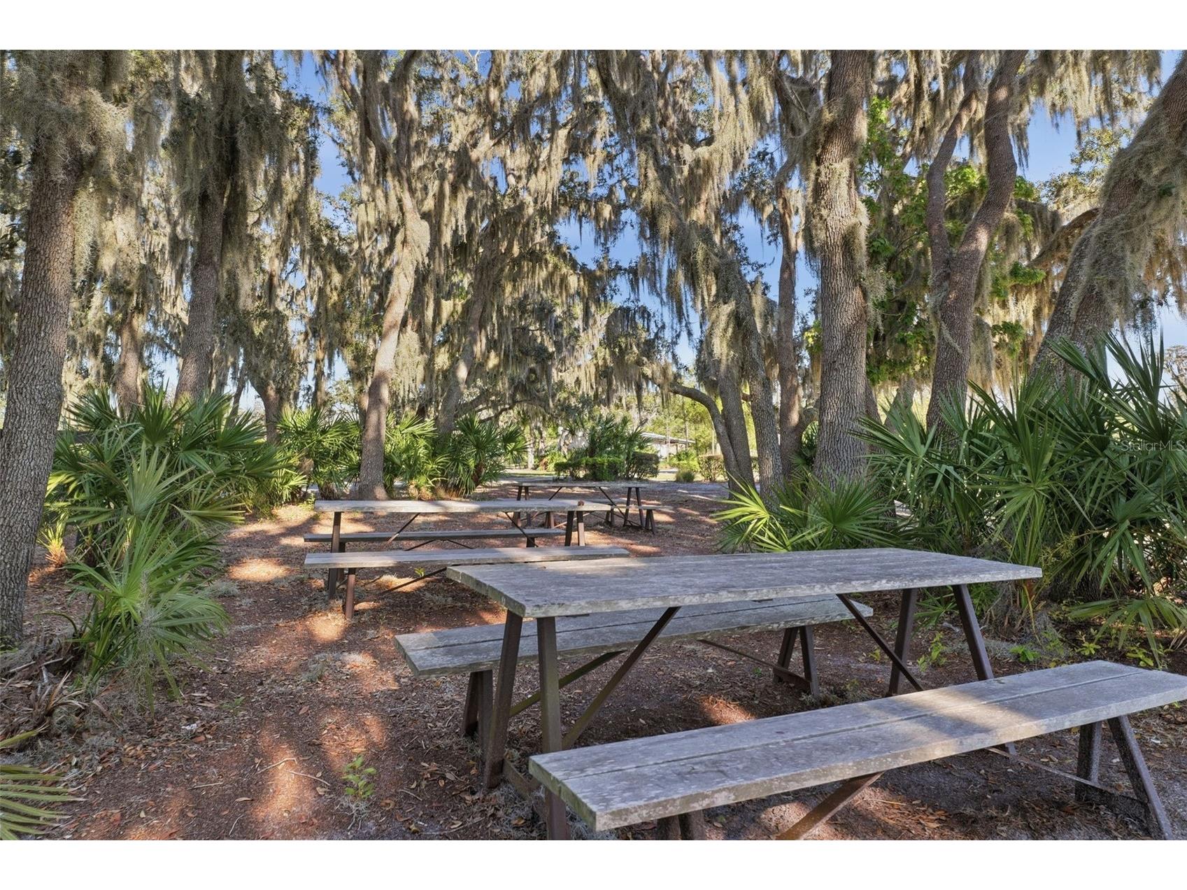 4345 Tatum Loop Odessa FL 33556 W7884024 image34