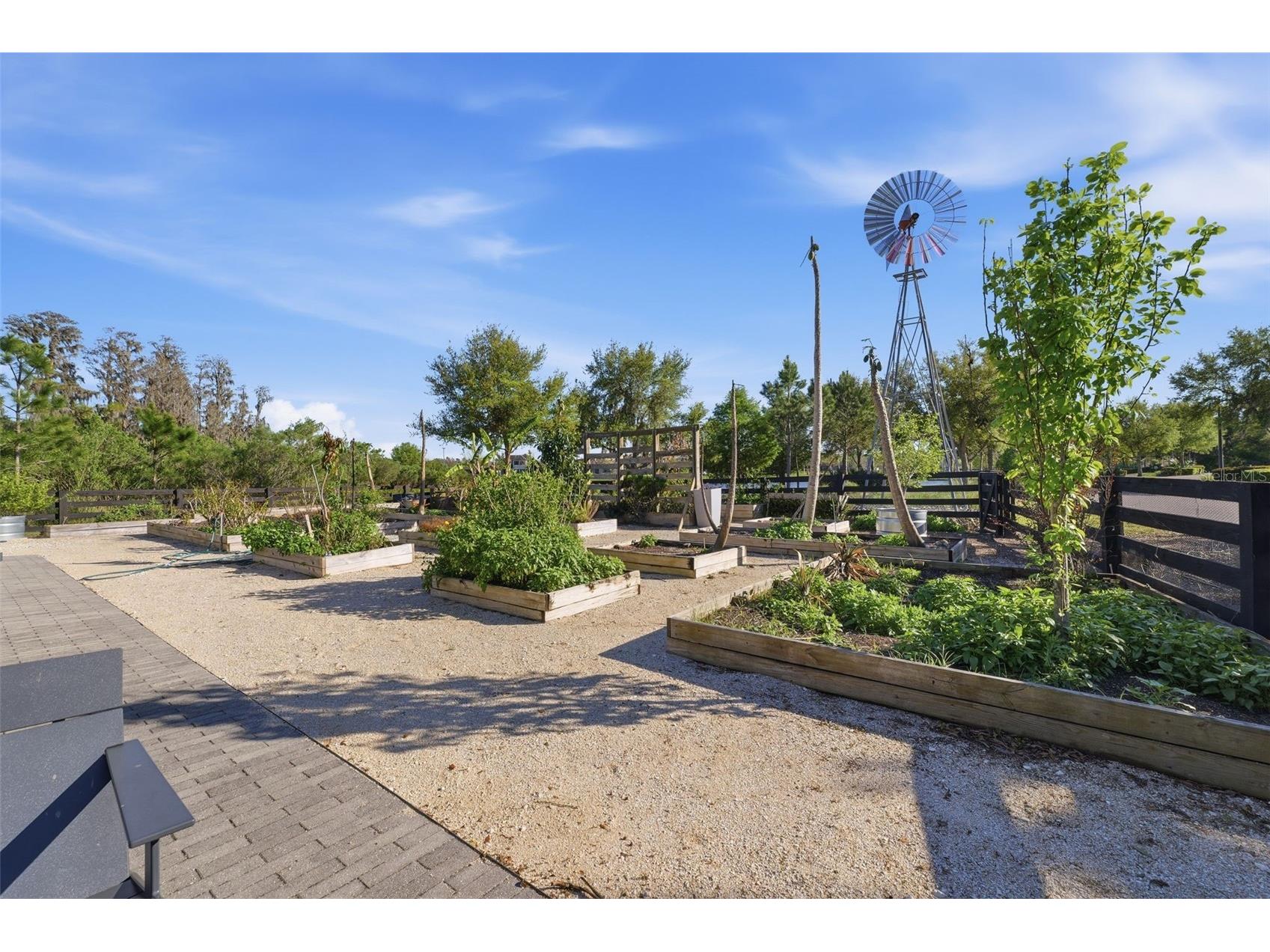 4345 Tatum Loop Odessa FL 33556 W7884024 image35