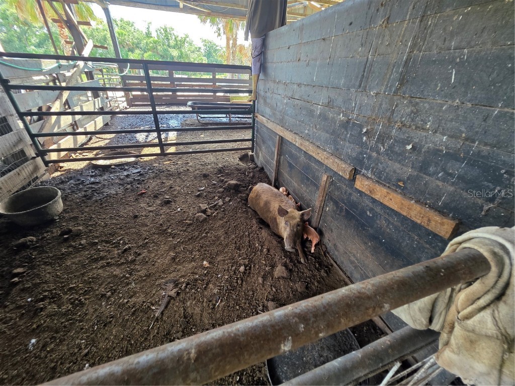 43451 & 43631 Farabee Road Punta Gorda FL 33982 C7512178 image45