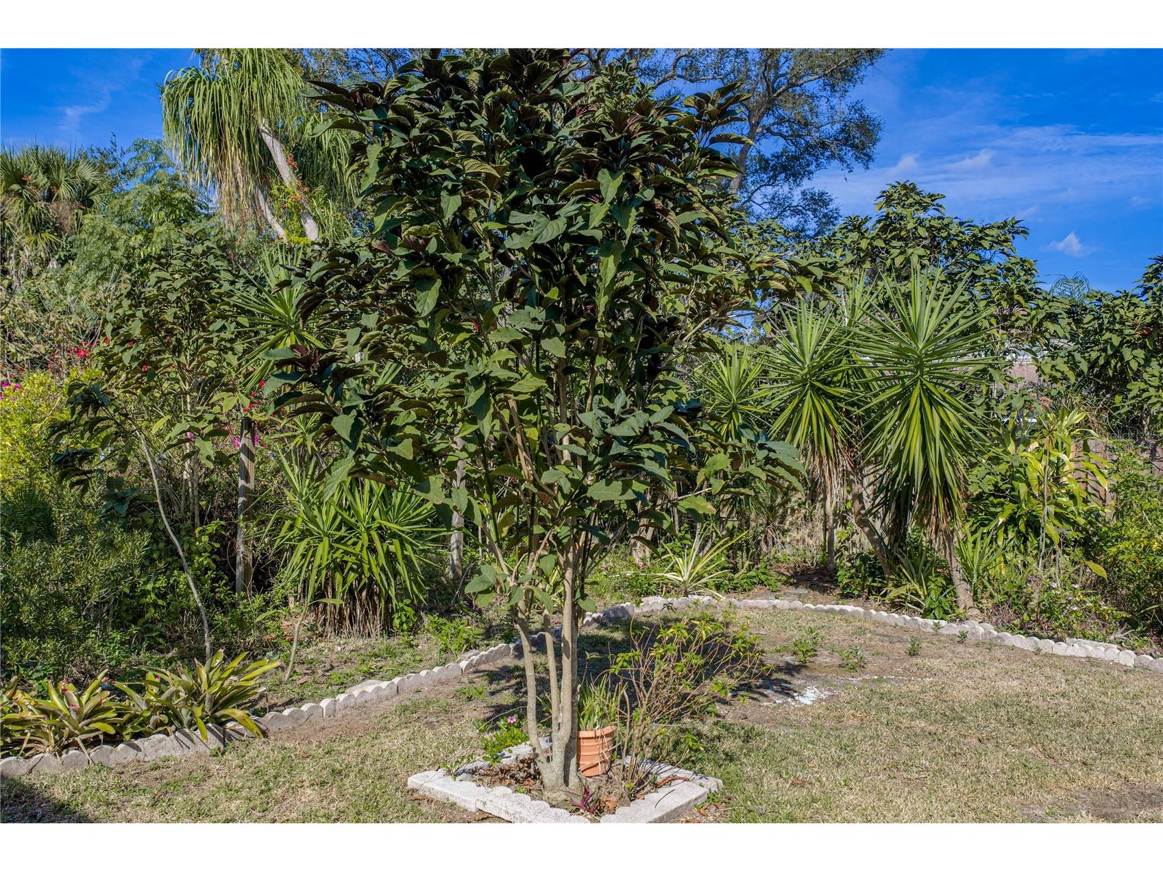 4346 Breckenridge Way #5 Sarasota FL 34235 TB8459992 image69
