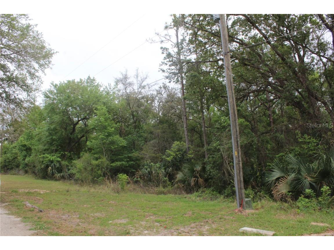 4346 Casaurina Road Lady Lake FL 32159 V4941801 image1