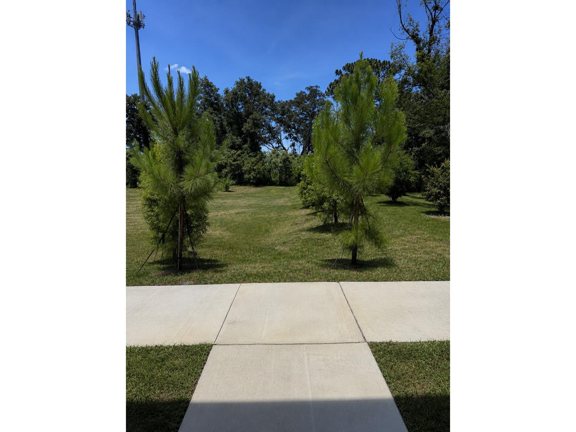 4347 Cambio Gardens Court Tampa FL 33610 TB8516847 image35