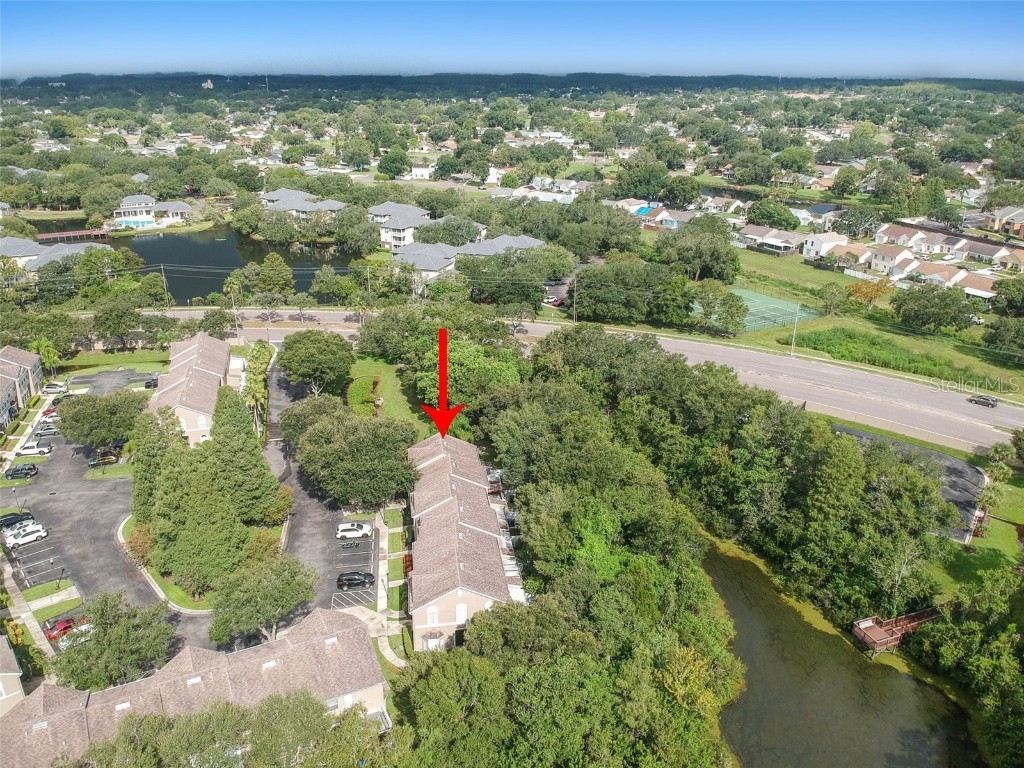 4347 Deermont Circle Tampa FL 33624 TB8461929 image11