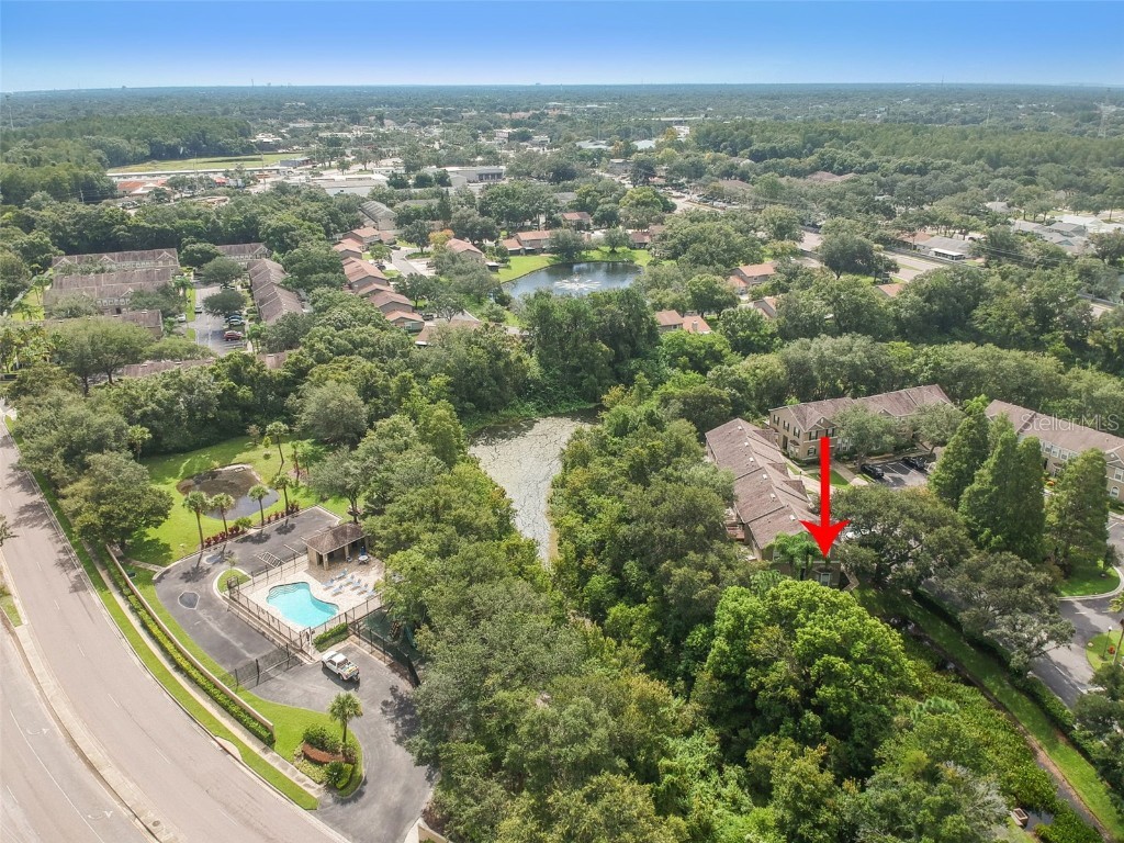 4347 Deermont Circle Tampa FL 33624 TB8461929 image12
