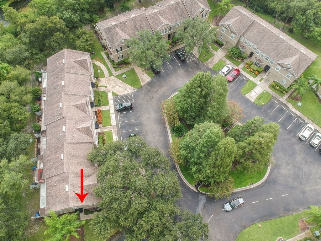 4347 Deermont Circle Tampa FL 33624 TB8461929 image13