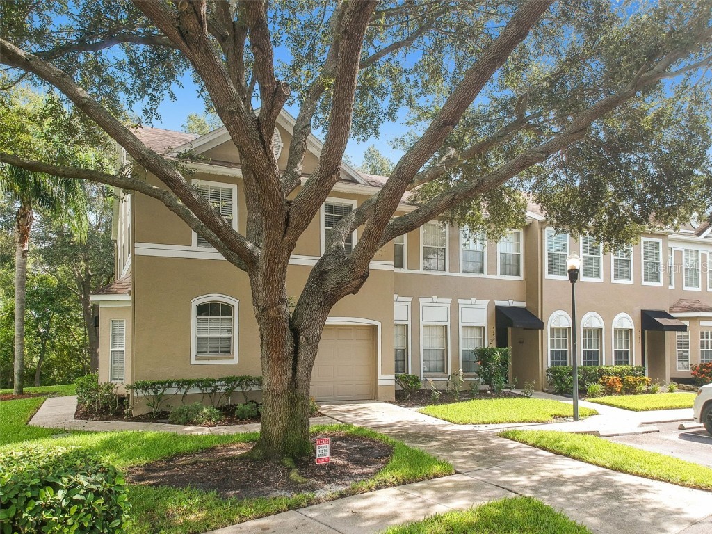 4347 Deermont Circle Tampa FL 33624 TB8461929 image4