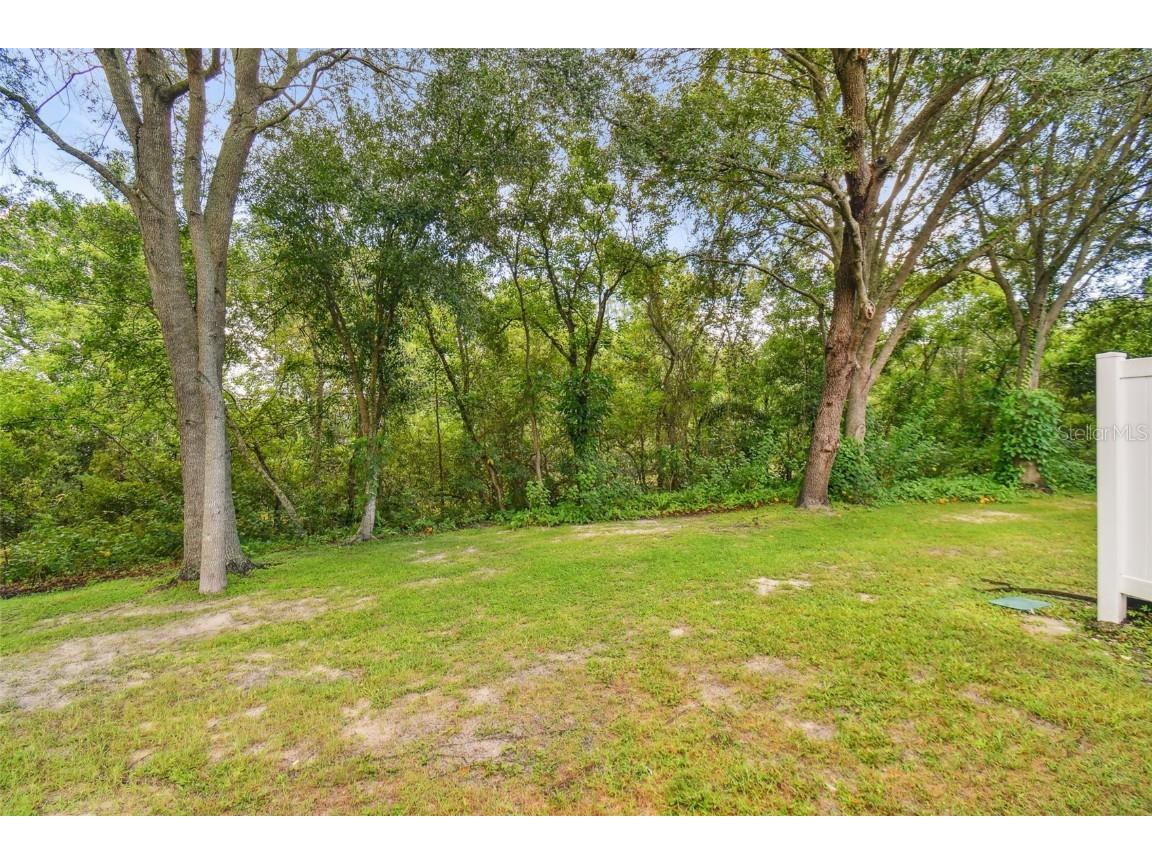 4347 Deermont Circle Tampa FL 33624 TB8461929 image62