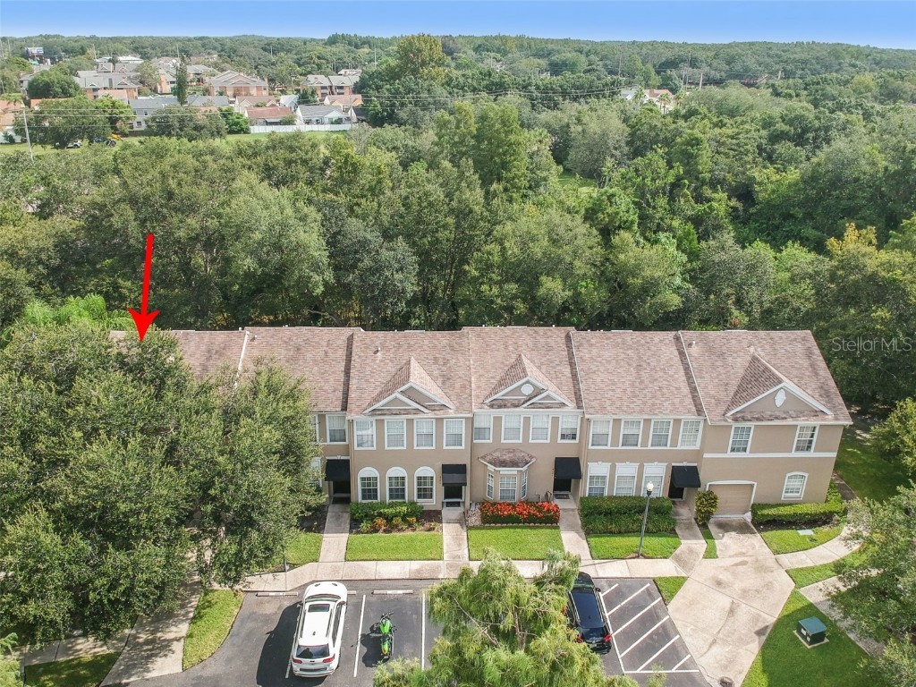 4347 Deermont Circle Tampa FL 33624 TB8461929 image7