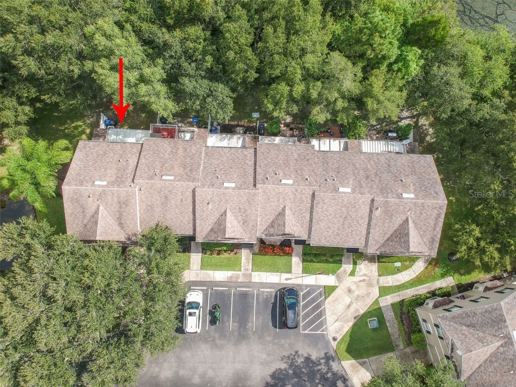 4347 Deermont Circle Tampa FL 33624 TB8461929 image8