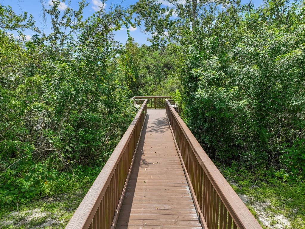 4347 Deermont Circle Tampa FL 33624 TB8461929 image80