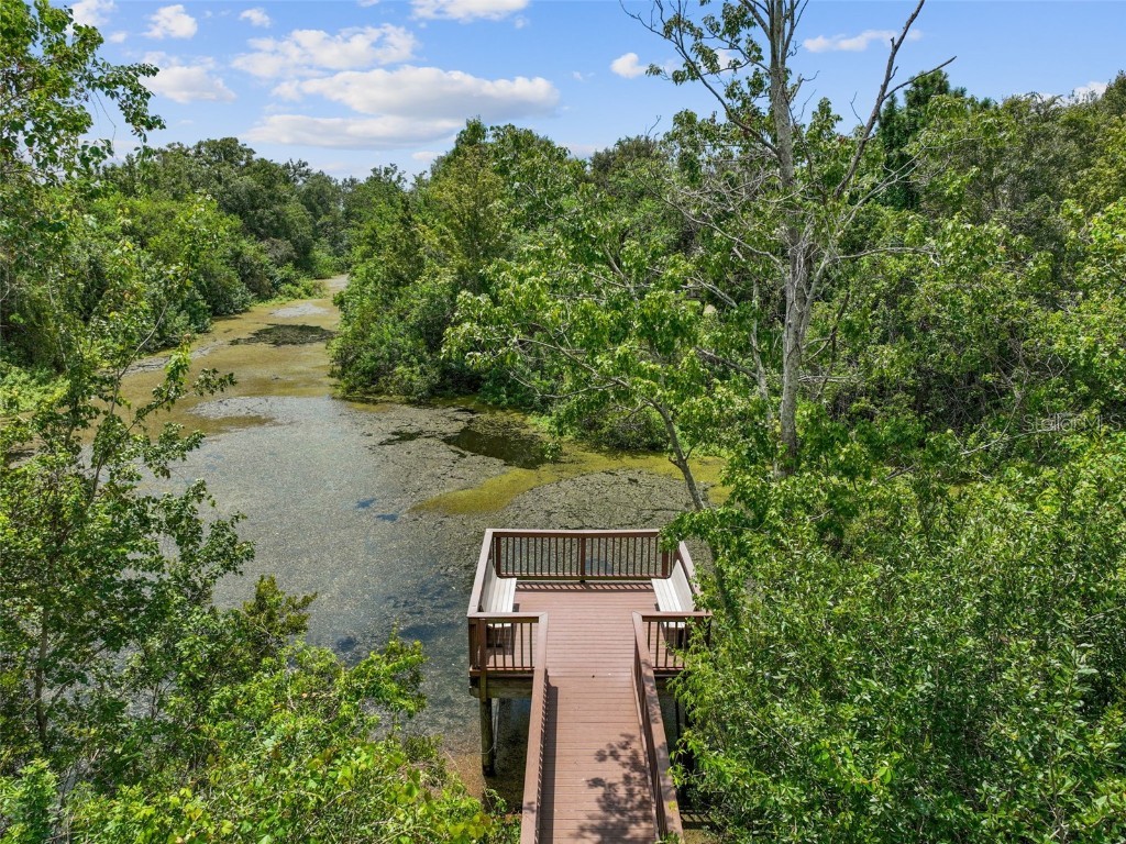 4347 Deermont Circle Tampa FL 33624 TB8461929 image81