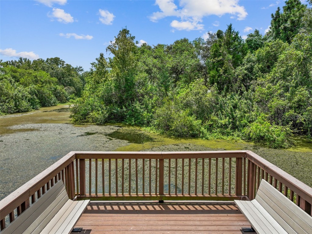 4347 Deermont Circle Tampa FL 33624 TB8461929 image84