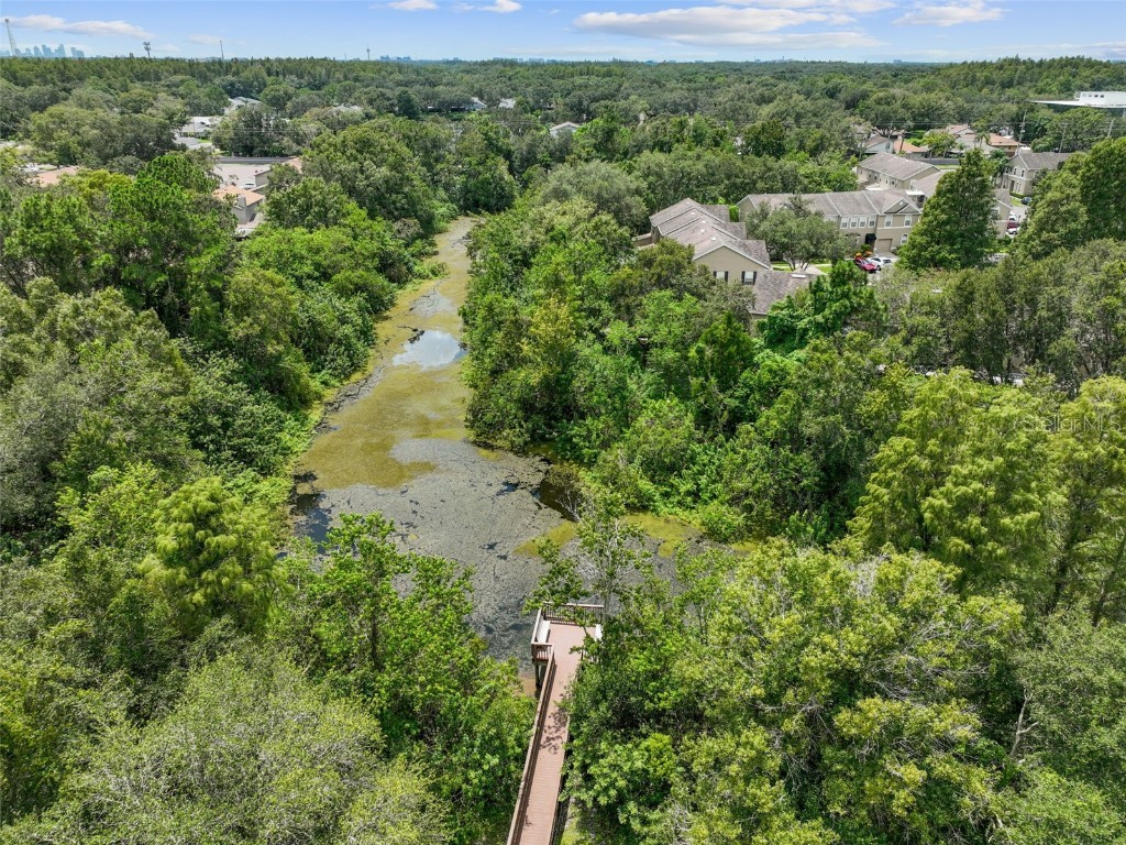 4347 Deermont Circle Tampa FL 33624 TB8461929 image85