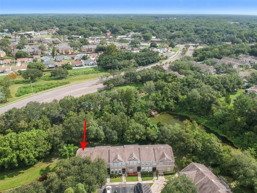 4347 Deermont Circle Tampa FL 33624 TB8461929 image9