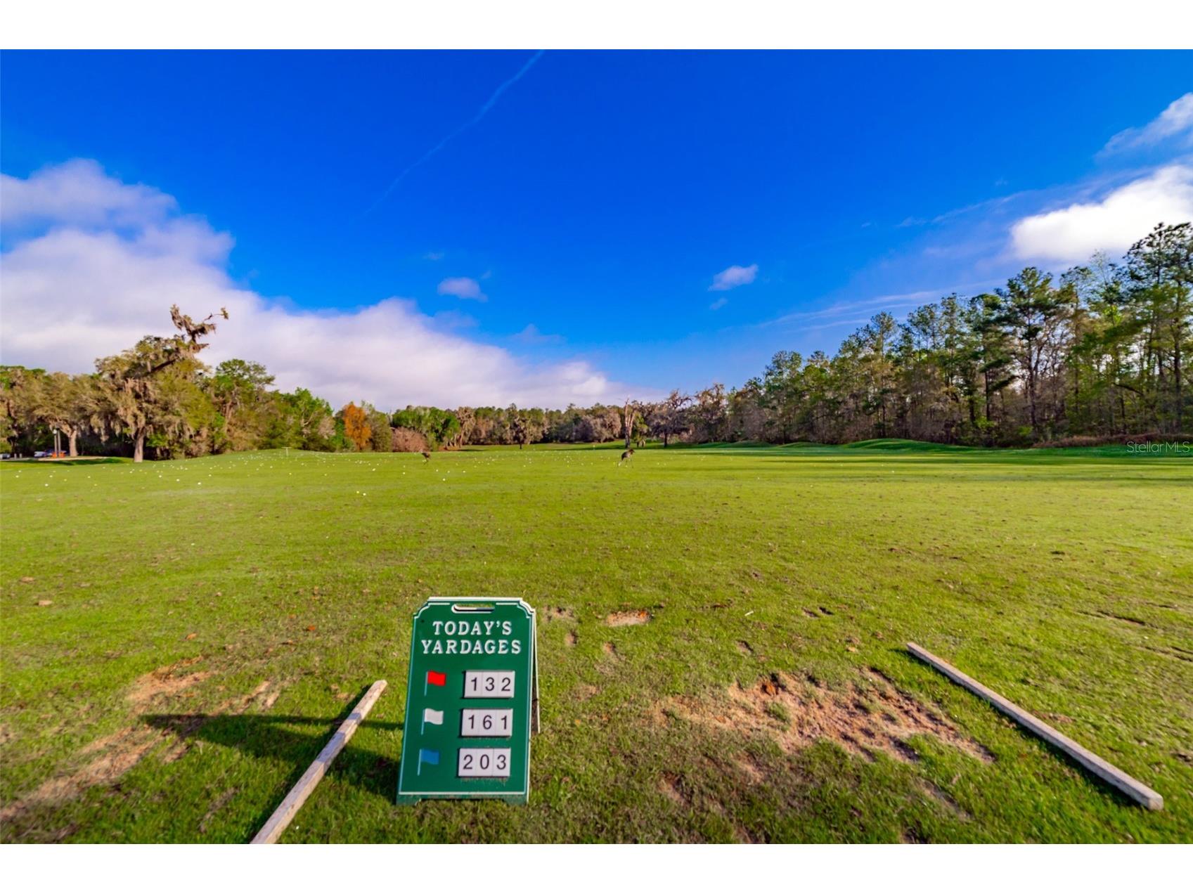 4347 Gevalia Drive Brooksville FL 34604 W7883936 image68