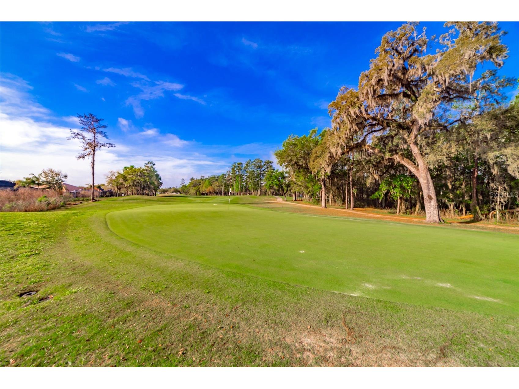 4347 Gevalia Drive Brooksville FL 34604 W7883936 image69