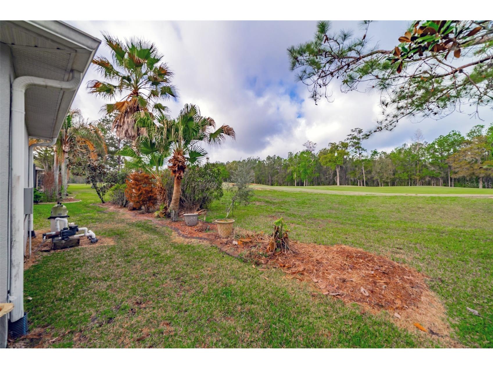 4347 Gevalia Drive Brooksville FL 34604 W7883936 image7