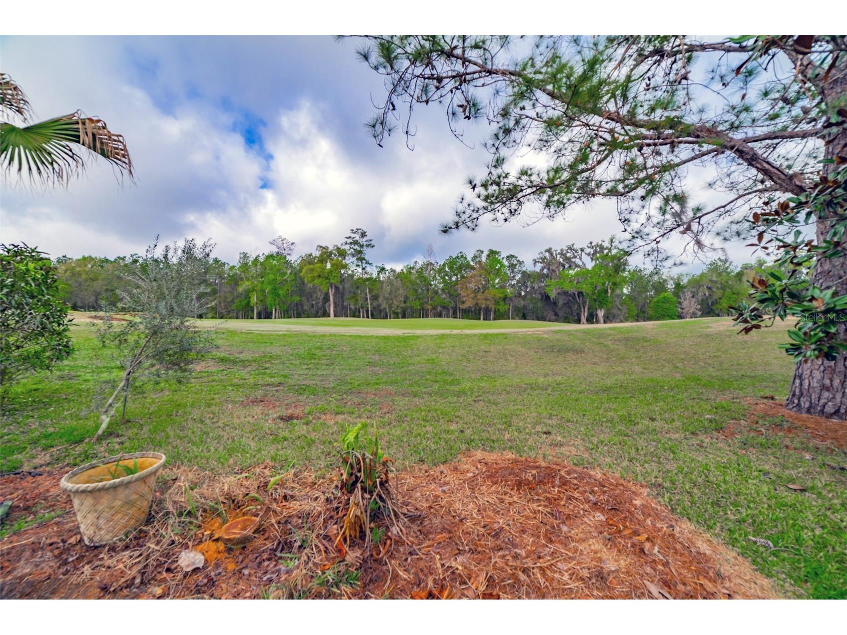 4347 Gevalia Drive Brooksville FL 34604 W7883936 image90