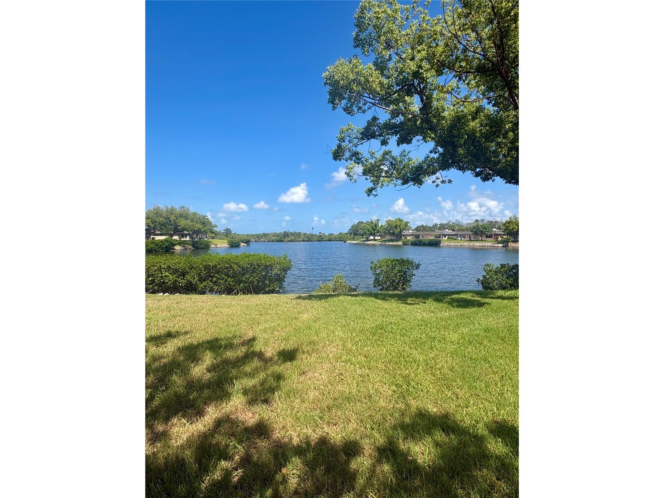 4347 Rustic Drive New Port Richey FL 34652 TB8523967 image12