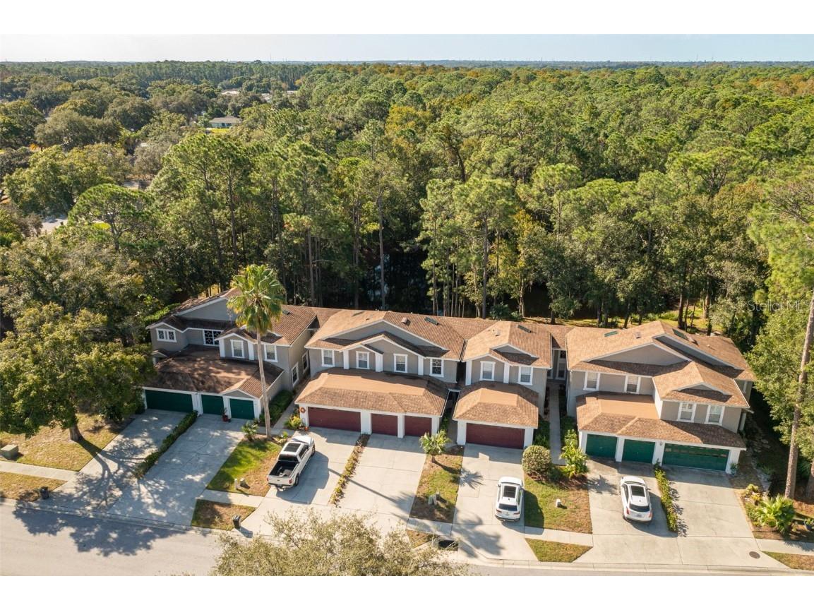 4348 Brooker Creek Drive Palm Harbor FL 34685 U8221092 image1